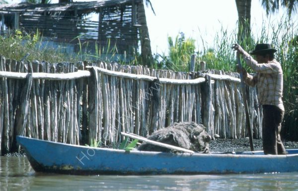 Fisherman, Sinamaica